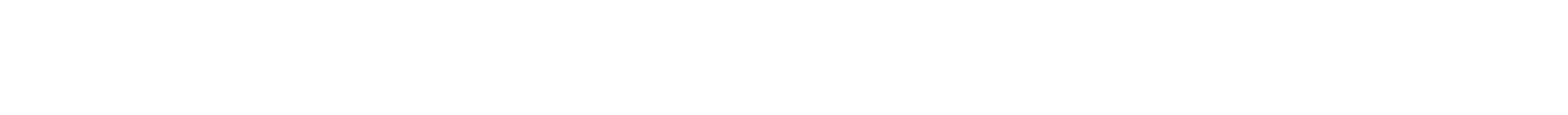 Project Manager