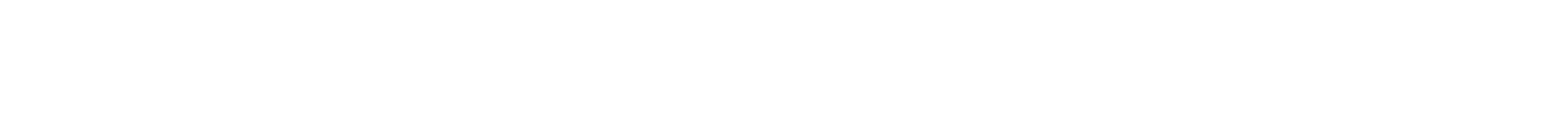 Motion Designer